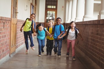 Set up a summer school