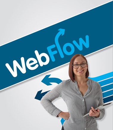 Webflow Online Authorisation Solution