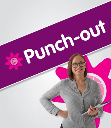 Punch-out Integration