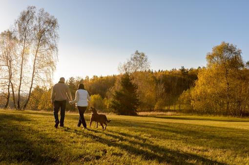 Walking in the countryside can relieve stress