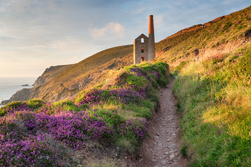 St Agnes