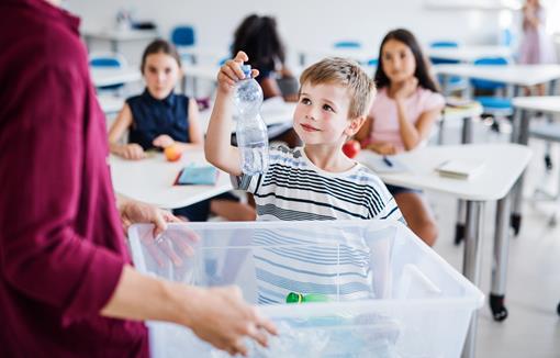 Recycling in your school