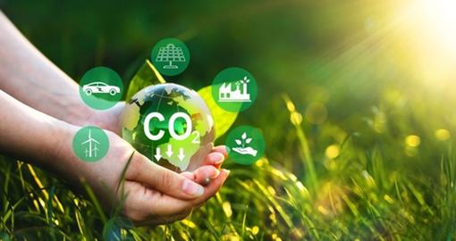 8 ways to reduce carbon footprint in schools