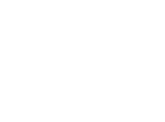 Free next day delivery.png