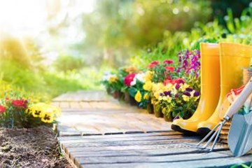 School Garden Ideas