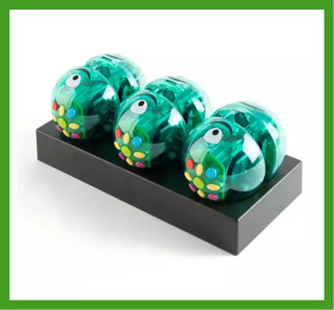 7-earl-2-accessories.png